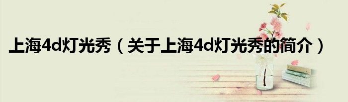 上海4d灯光秀（关于上海4d灯光秀的简介）