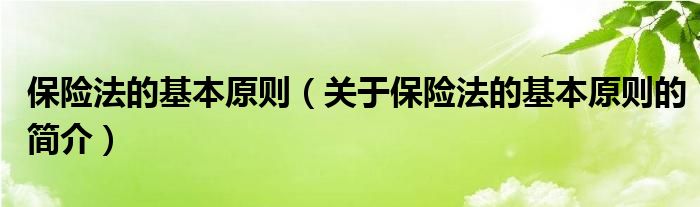 保险法的基本原则（关于保险法的基本原则的简介）