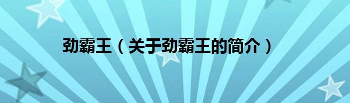 劲霸王（关于劲霸王的简介）