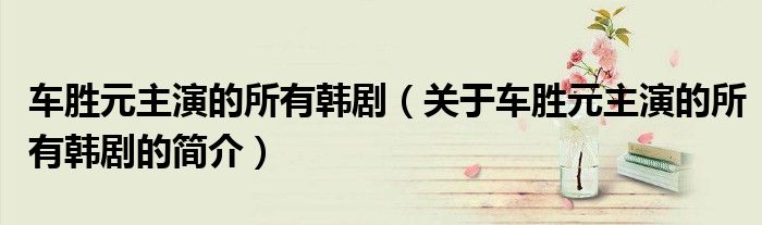 车胜元主演的所有韩剧（关于车胜元主演的所有韩剧的简介）