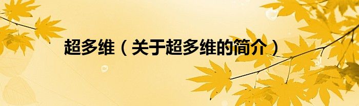 超多维（关于超多维的简介）