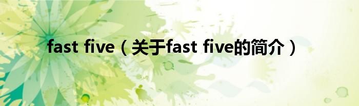 fast five（关于fast five的简介）
