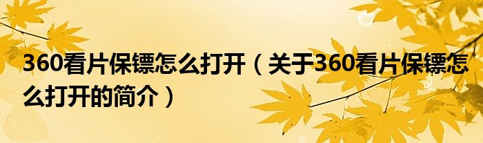 360看片保镖怎么打开（关于360看片保镖怎么打开的简介）