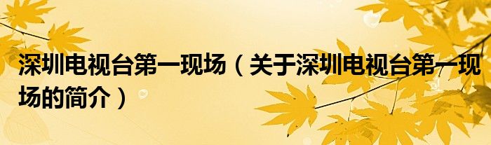 深圳电视台第一现场（关于深圳电视台第一现场的简介）