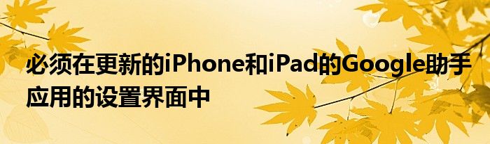 必须在更新的iPhone和iPad的Google助手应用的设置界面中