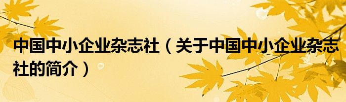 中国中小企业杂志社（关于中国中小企业杂志社的简介）