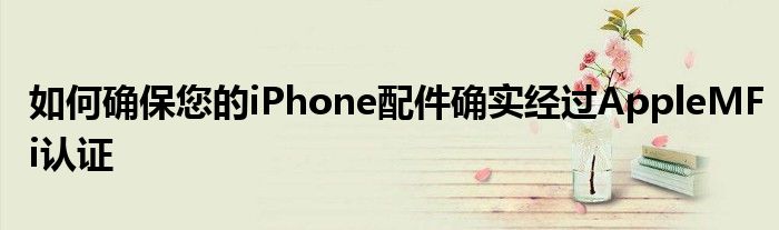 如何确保您的iPhone配件确实经过AppleMFi认证