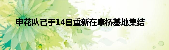 申花队已于14日重新在康桥基地集结