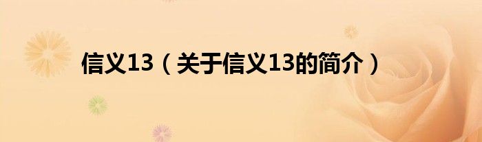 信义13（关于信义13的简介）