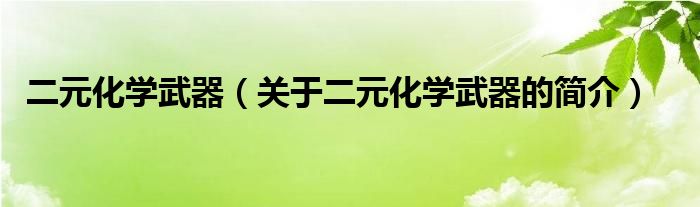 二元化学武器（关于二元化学武器的简介）