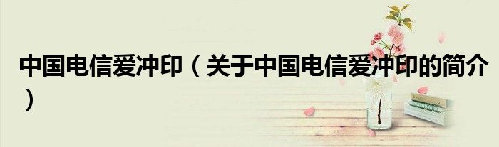 中国电信爱冲印（关于中国电信爱冲印的简介）