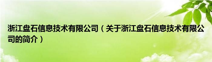 浙江盘石信息技术有限公司（关于浙江盘石信息技术有限公司的简介）