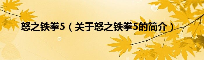 怒之铁拳5（关于怒之铁拳5的简介）