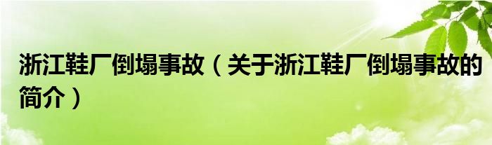 浙江鞋厂倒塌事故（关于浙江鞋厂倒塌事故的简介）