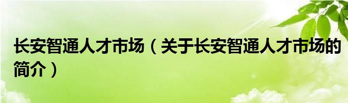 长安智通人才市场（关于长安智通人才市场的简介）