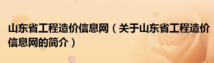 山东省工程造价信息网（关于山东省工程造价信息网的简介）