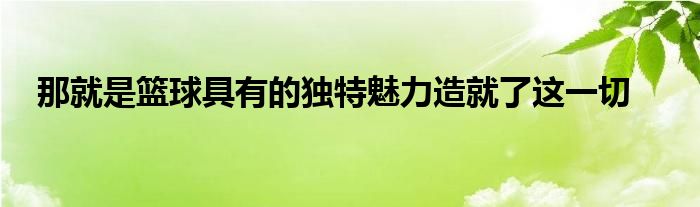 那就是篮球具有的独特魅力造就了这一切