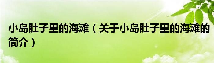 小岛肚子里的海滩（关于小岛肚子里的海滩的简介）