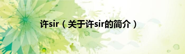 许sir（关于许sir的简介）