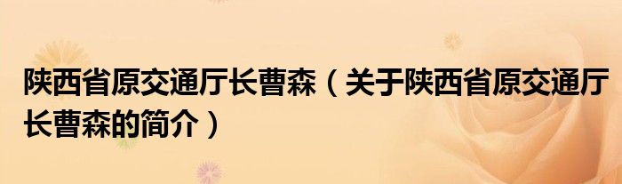 陕西省原交通厅长曹森（关于陕西省原交通厅长曹森的简介）