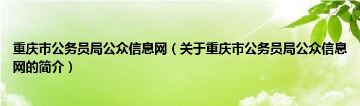 重庆市公务员局公众信息网（关于重庆市公务员局公众信息网的简介）