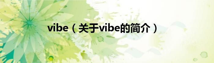vibe（关于vibe的简介）