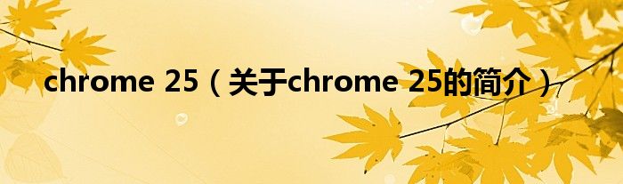 chrome 25（关于chrome 25的简介）