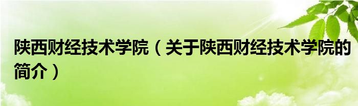 陕西财经技术学院（关于陕西财经技术学院的简介）