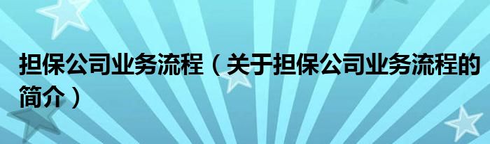 担保公司业务流程（关于担保公司业务流程的简介）