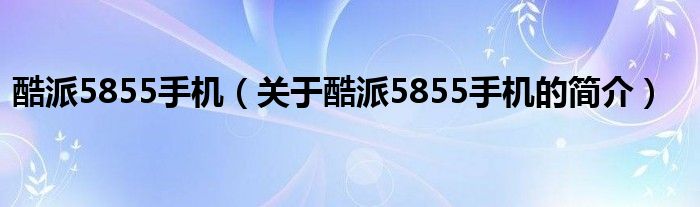 酷派5855手机（关于酷派5855手机的简介）