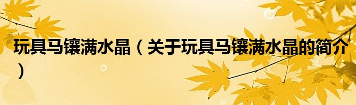 玩具马镶满水晶（关于玩具马镶满水晶的简介）