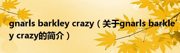 gnarls barkley crazy（关于gnarls barkley crazy的简介）
