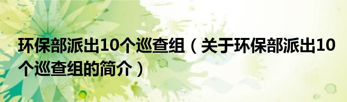 环保部派出10个巡查组（关于环保部派出10个巡查组的简介）