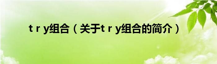 t r y组合（关于t r y组合的简介）