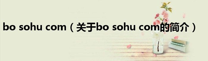 bo sohu com（关于bo sohu com的简介）
