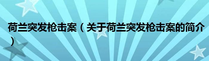 荷兰突发枪击案（关于荷兰突发枪击案的简介）