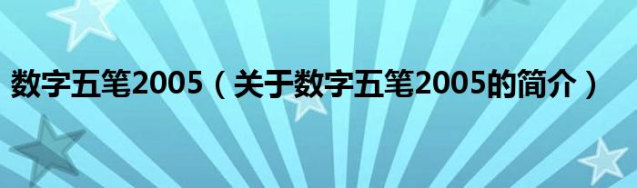 数字五笔2005（关于数字五笔2005的简介）