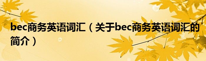 bec商务英语词汇（关于bec商务英语词汇的简介）