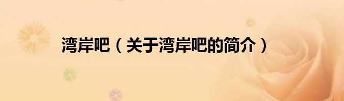 湾岸吧（关于湾岸吧的简介）