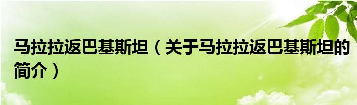 马拉拉返巴基斯坦（关于马拉拉返巴基斯坦的简介）