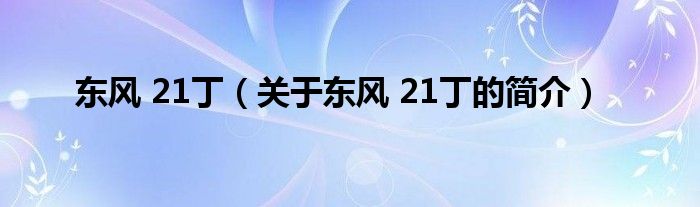 东风 21丁（关于东风 21丁的简介）