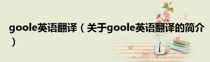 goole英语翻译（关于goole英语翻译的简介）