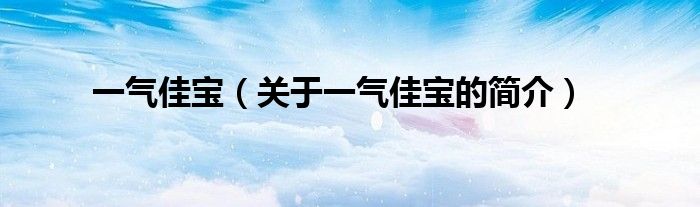 一气佳宝（关于一气佳宝的简介）