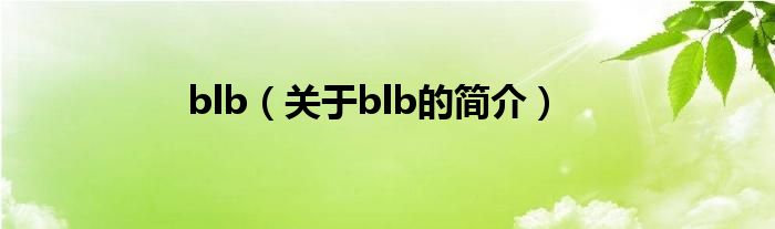 blb（关于blb的简介）
