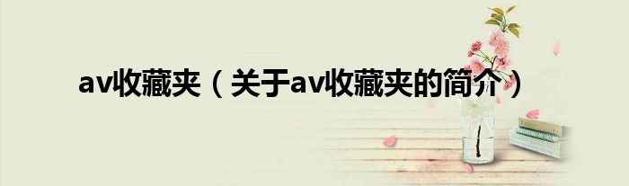 av收藏夹（关于av收藏夹的简介）