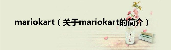 mariokart（关于mariokart的简介）