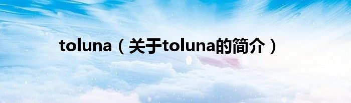 toluna（关于toluna的简介）