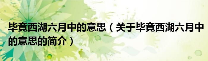 毕竟西湖六月中的意思（关于毕竟西湖六月中的意思的简介）