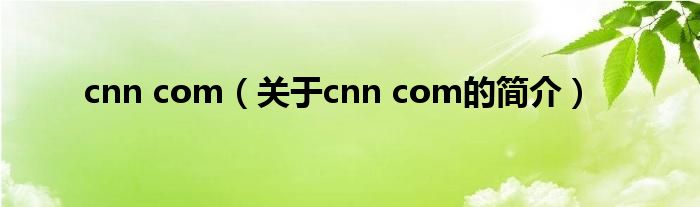 cnn com（关于cnn com的简介）