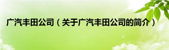 广汽丰田公司（关于广汽丰田公司的简介）